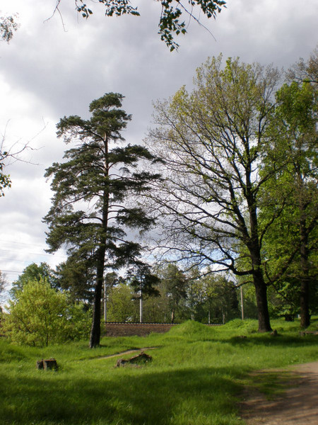 Akulova Gora